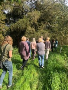 A group go for a foraging walk