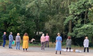 A group doing tai chi under a canopy of trees